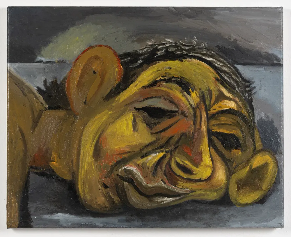 Carlos Casuso, Lottatore sconfitto